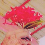 Profile Picture of Pavadi Maregoudar (@p_a_v_a_d_i____a_m_02) on Instagram