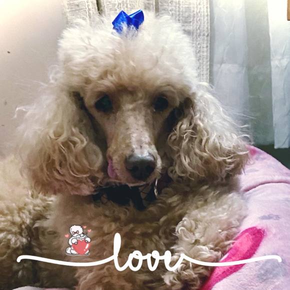 Profile Picture of Kathy Erdo (@kerdo) on Poshmark