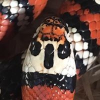Profile Picture of Richard Shreve (@richard-shreve-2) on Quora