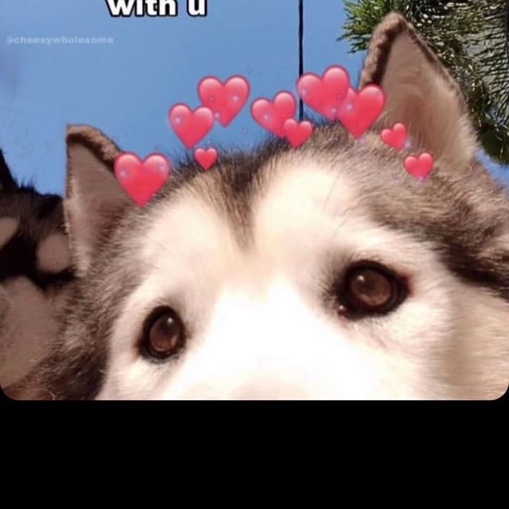 Profile Picture of vladgregory0 (@whatsgoingon445) on Tiktok