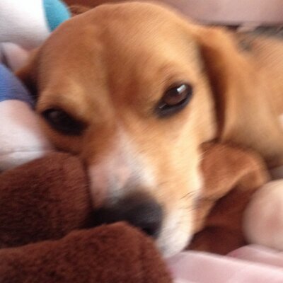 Profile Picture of Julie Yager (@JackNJillsMom) on Twitter