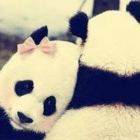 Profile Picture of まや (@MAYA_arai0629) on Twitter