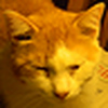 Profile Picture of Joseph Lampo (@geek4002) on Flickr