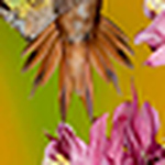 Profile Picture of John  Matthews (@oregondew) on Flickr