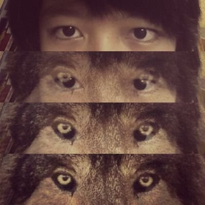 Profile Picture of Sonia Lloyd (@JaeEun101) on Twitter