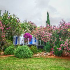 Profile Picture of johnbayeh (@johnbayeh) on Tiktok