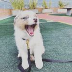 Ryan Laroe - Instagram Profile Picture of Ryan Laroe (@ryan_laroe1997) on Instagram