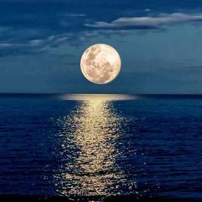 Profile Picture of Veronica Jerez (@Veronicajerez15) on Twitter