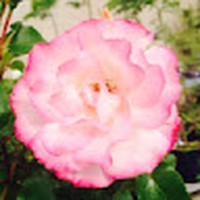 Profile Picture of Isabelle Booth (@isabelle-booth-14) on Quora