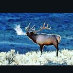 matthew hissa - Instagram Profile Picture of matthew hissa (@matthew.hissa) on Instagram