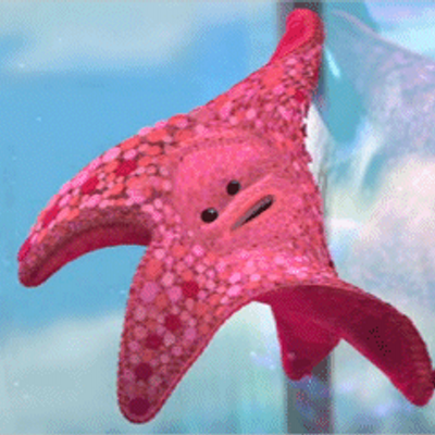 Profile Picture of Dani Palma (@daniusca) on Twitter