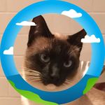 Profile Picture of David Ogilvie-Watson (@davidogilviewatson) on Instagram