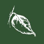 Profile Picture of Basil Leaf Café Ristorante (@basil_leaf_cafe) on Instagram