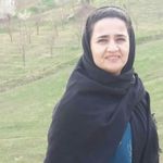 Profile Picture of fereshteh.Alizadeh (@fereshteh.alizadeh61) on Instagram