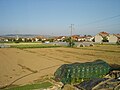 Profile Picture of Stajkovcion Wikipedia