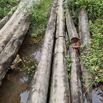 Profile Picture of James Asman (@James-Asman) on Facebook