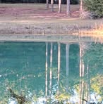 Profile Picture of Dustin Barton (@dustin.barton.225495) on Facebook