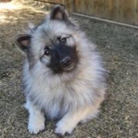Profile Picture of Shelly Graham (@shelly-graham-9) on Quora