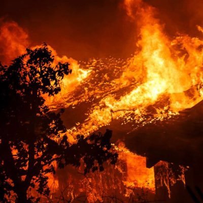 Profile Picture of Andy,Annie,Anthony,Cal,Wes (@wldfyrknowledge) on Twitter