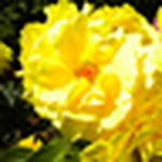 Profile Picture of Angels Ridao (@ridao_angels) on Flickr