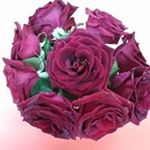 Profile Picture of Anisa Chowdhury (@anisa.chowdhury.984) on Instagram