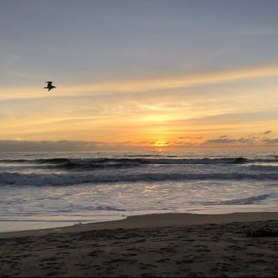 Profile Picture of Charles Dokter (@CharlesDokter) on Twitter