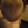 Profile Picture of Jacob Hebert (@@jacobhebert39) on Tiktok