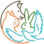 Katzenschutzverein Halle e.V. - Instagram Profile Picture of Katzenschutzverein Halle e.V. (@katzenhaus_hallesaale) on Instagram