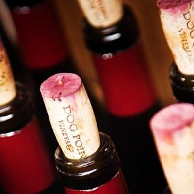 Murray Cook - Twitter Profile Picture of Murray Cook (@mcjcook) on Twitter