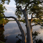 Profile Picture of Grant Blackwell (@grantblackwell8901) on Youtube