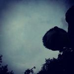 Glenn  howard - Instagram Profile Picture of Glenn  howard (@ward.lenn.2354) on Instagram