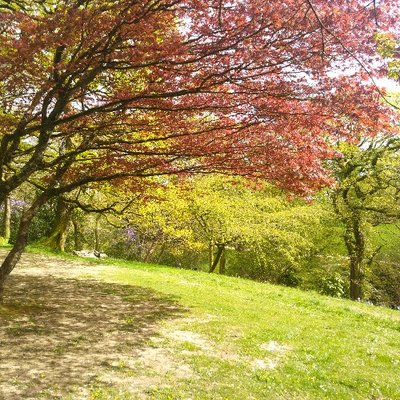 Profile Picture of Kaela Thompson (@klathompson1) on Twitter