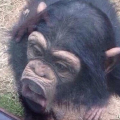 Profile Picture of Karl Hines (@hines_karl) on Twitter