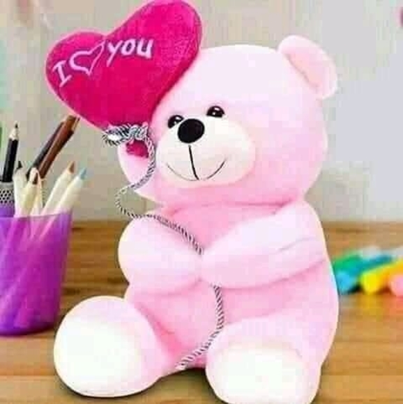 Profile Picture of Puddin Puddin (@puddin_puddin) on Poshmark