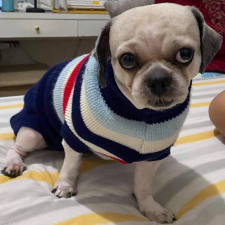 Profile Picture of michaelbrazil947 (@michaelbrazil947) on Tiktok