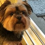 Profile Picture of Stacey Douglas Lambert (@slam9801) on Instagram