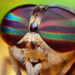 Profile Picture of Ben Bruin (@ben73558690) on Twitter