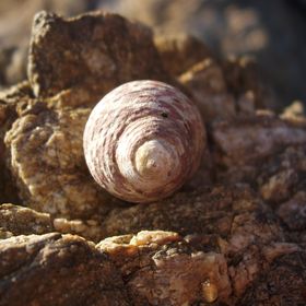 Profile Picture of Isabelle Lilly (@craftylilly) on Pinterest