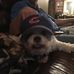 Profile Picture of Mark Zipperer (@mark.zipperer.146) on Facebook