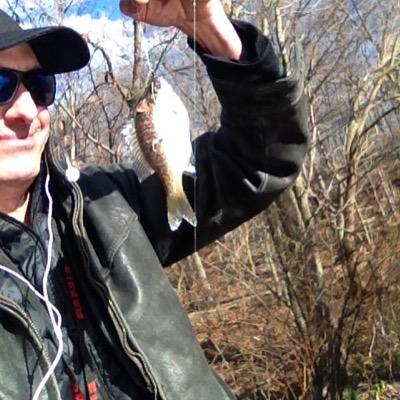 Profile Picture of Randy Snead (@gone2mattress) on Twitter