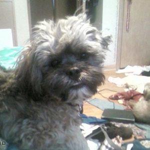 Profile Picture of Kelly Fritz (@kelly_the_magnificent) on Myspace