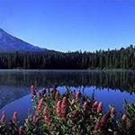 Profile Picture of Jerry Murphy (@jerry.murphy.54) on Instagram