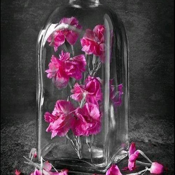 Profile Picture of Bobbi Whitebread (@mawmaw05) on Poshmark