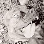 Profile Picture of Benny Burton (@benny.burton.58) on Instagram