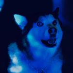 Profile Picture of Andrew Grant (@andrew.grant.sounds) on Instagram