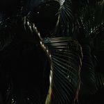 Profile Picture of Daniël Sumarna (@danielsumarna) on Instagram