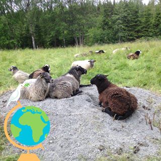 Profile Picture of Lars Ericsson (@Lars-Ericsson) on Facebook