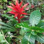 Profile Picture of Sonia Segundo (@sonia.segundo.2024) on Facebook