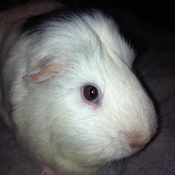 Profile Picture of Tammy Redekopp (@mdbcmf) on Poshmark