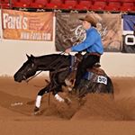 Profile Picture of Colin Fitzpatrick (@cf_performance_horses) on Instagram